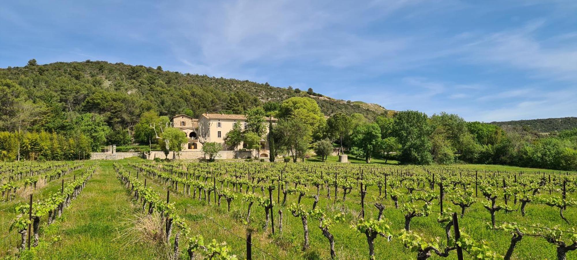 La Bastide De Peyremale, Gites En Cevennes, Piscine, Tennis Bagard Extérieur photo